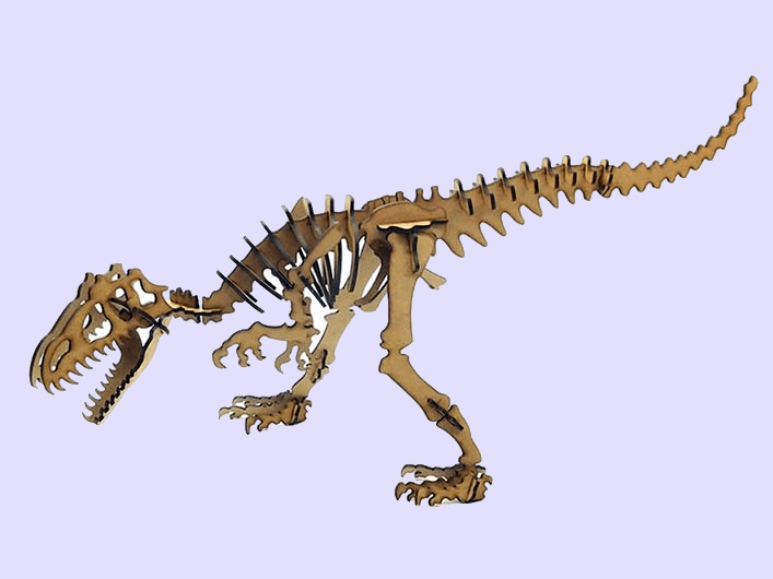 Ahşap dinozor iskelet modeli